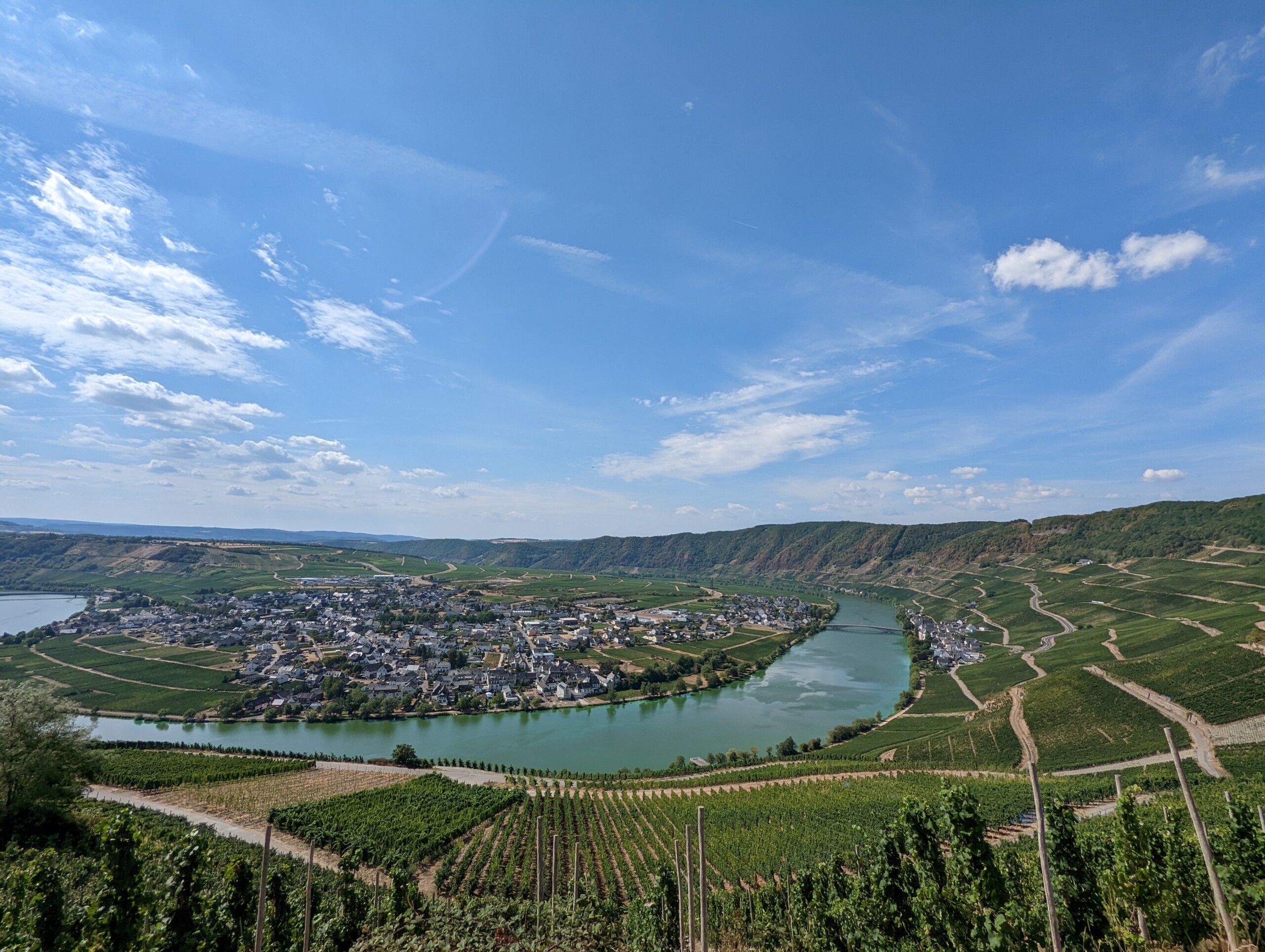 Blick auf die Mosellandschaft mit Weinbergen.